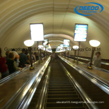 Deeoo Brand Lift Escalator Price Residential